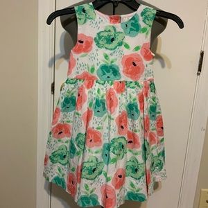 Like New Rare Editions Floral Formal Dress Pink Green White little Girl 6